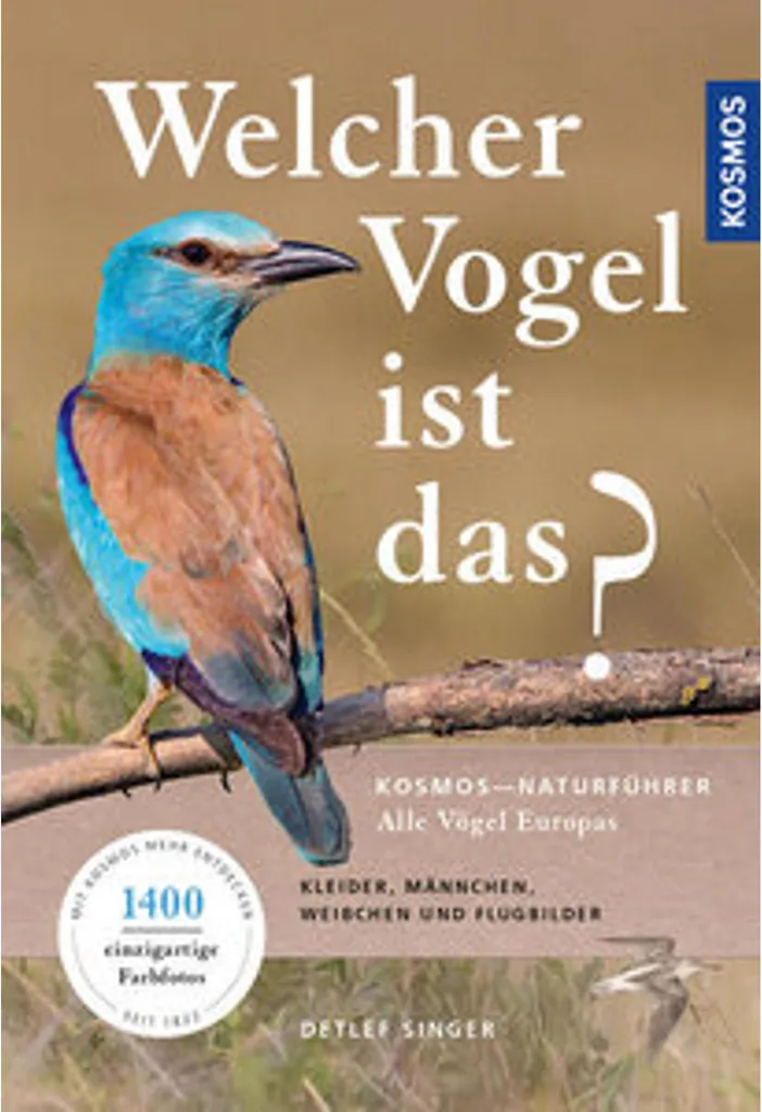 Ne confondez plus les espèces grâce à ce guide d'oiseaux d'Europe