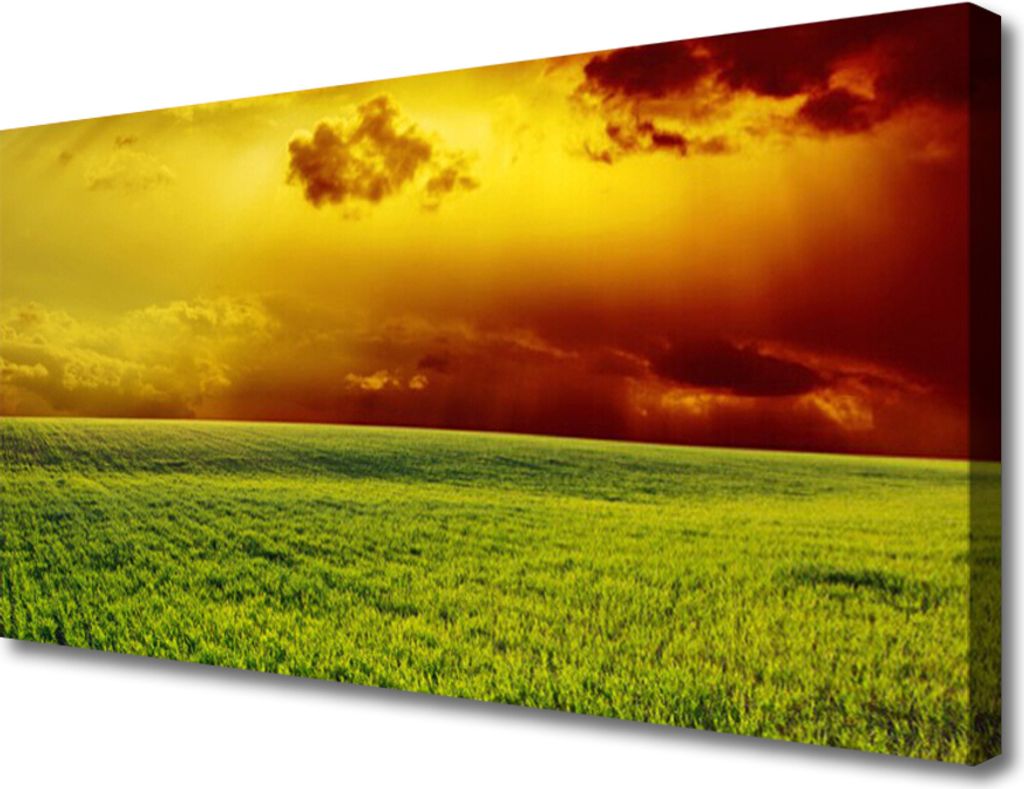 Tulup Leinwand-Bilder 100x50 Wandbild Canvas Kunstdruck Acker Landschaft