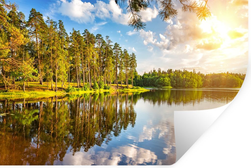 MuchoWow Wandtattoo Wandsticker Wandaufkleber Wasser - Bäume - Natur 120x80 cm Selbstklebend und Repositionierbar - Selbstklebend - Fototapeten