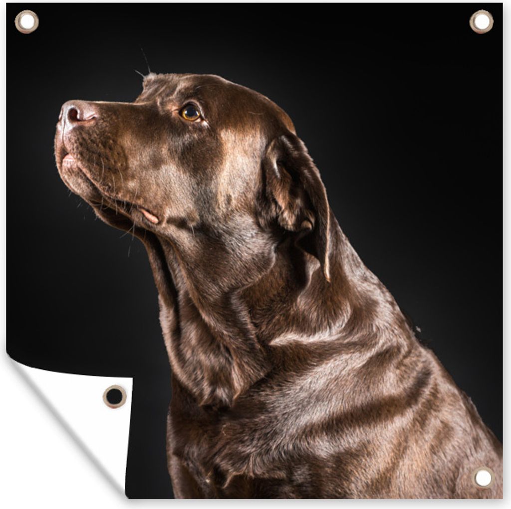 MuchoWow 100x100 cm Outdoor-Poster Gartendeko Sichtschutz Garten Poster für den Garten Hund - Braun - Porträt