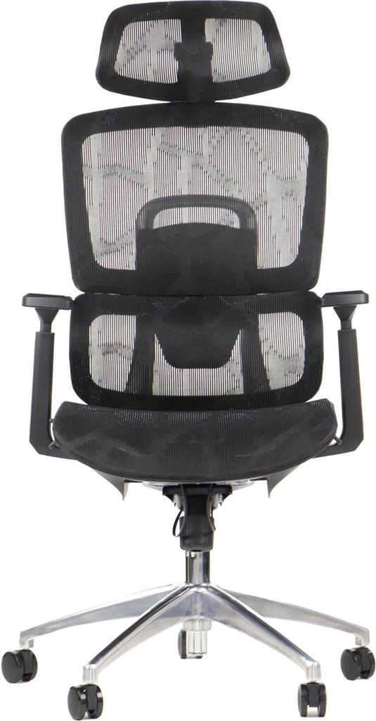 Ergonomischer Bürodrehstuhl ErgoNew A1, aluminiumbasis, verstellbare Armlehnen, Kopfstütze und Lordosenstütze, Sitzverlängerung, Schwarz