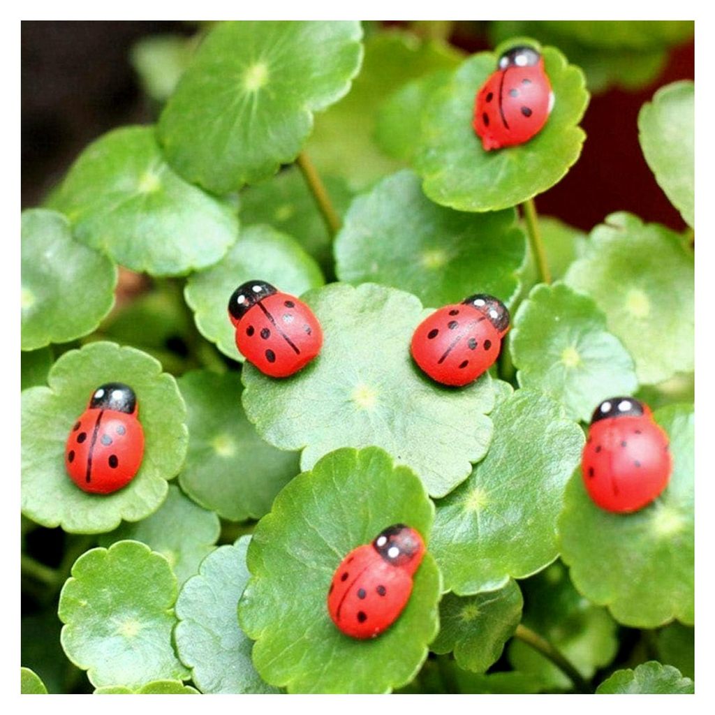 Realistische Marienkäfer-Figuren – 2,5 cm Kunstharz-Gartendekoration für Feengärten, Terrarien, Puppenhaus-Miniaturen und Außenlandschafts-Or...