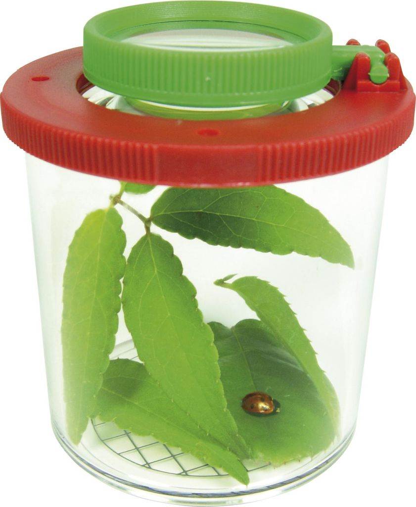 Lupendose groß Produktbild 