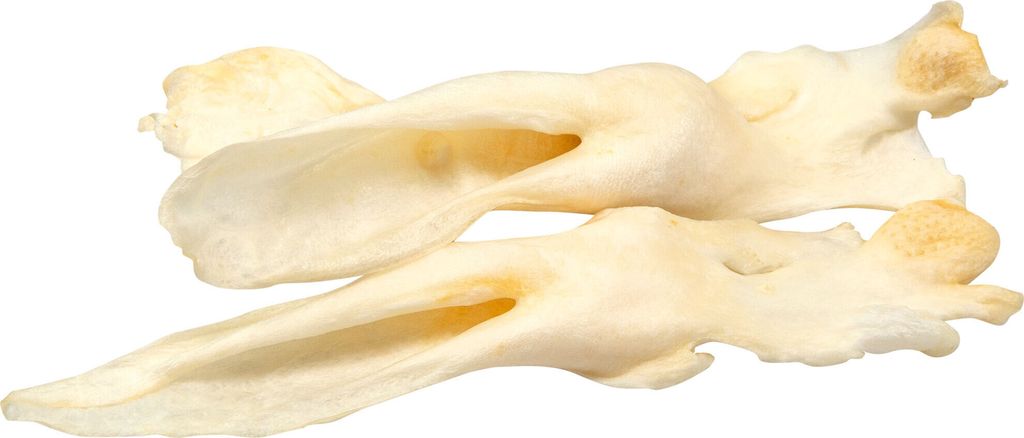 300g Schecker gepuffte Kaninchenohren - sauber - leicht -auch für Senioren Hunde geeignet