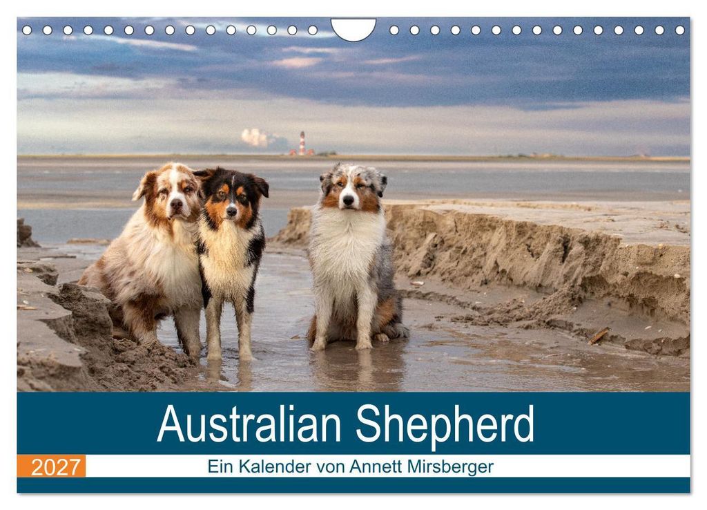 Australian Shepherd 2027 (Wandkalender 2027 DIN A4 quer), CALVENDO Monatskalender