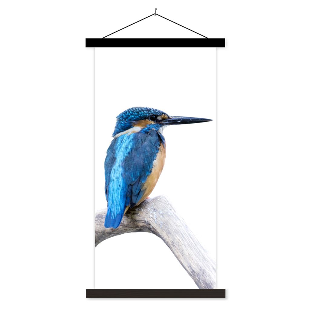 MuchoWow Textilposter Eisvogel - Zweig - Schnabel 60x120 cm mit schwarzem Rahmen - Magnete