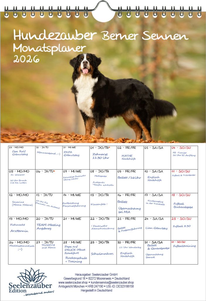 Hundezauber Berner Sennen Planer DIN A4 Kalender für 2026 Produktbild 
