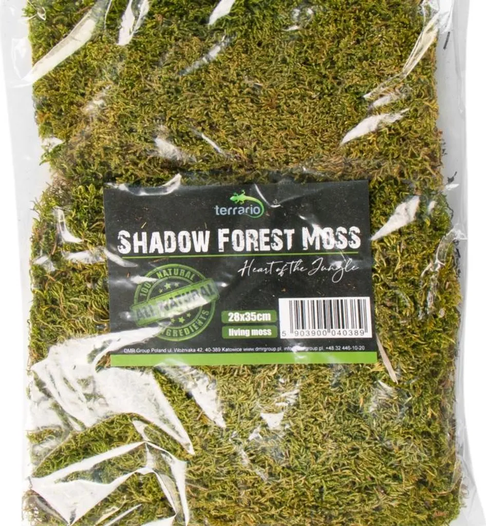 Tapis mousse naturelle 35x28cm Terrario Shadow Forest haute densité - 16