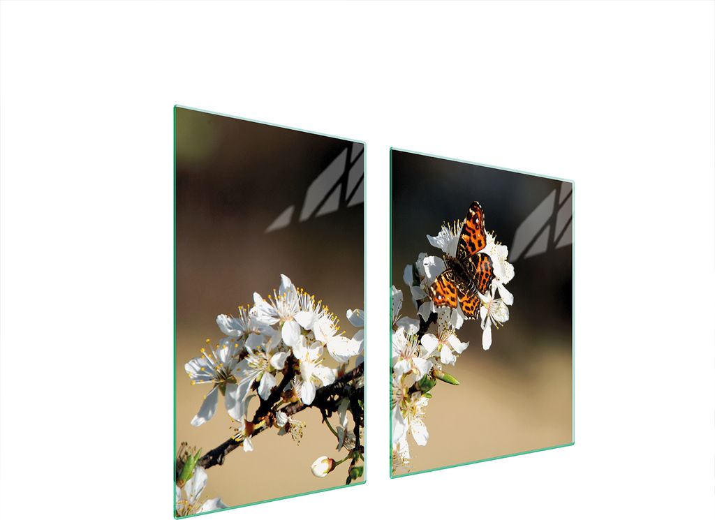 Glasplatte und Schneidebrett 100x52 Pflaume