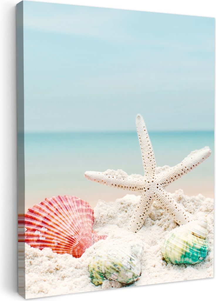 MuchoWow - Leinwandbilder - Strand - Seesterne - Muscheln - Meer, Wandbild, Wanddeko Bilder Wohnzimmer, 30x40 cm