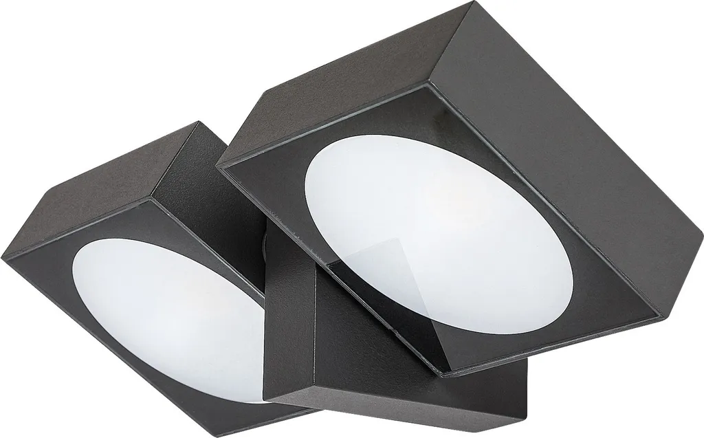 Rabalux Telde 77101 Luminaire LED Anthracite 14W IP54 pour Extérieur
