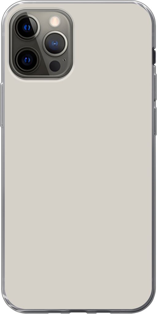 MuchoWow Handyhülle Schutzhülle Hülle für Telefoonhoesje iPhone 13 Pro Grau - Hell - Herbst Silikon Softcase Handy Hülle - Handy-Tasche
