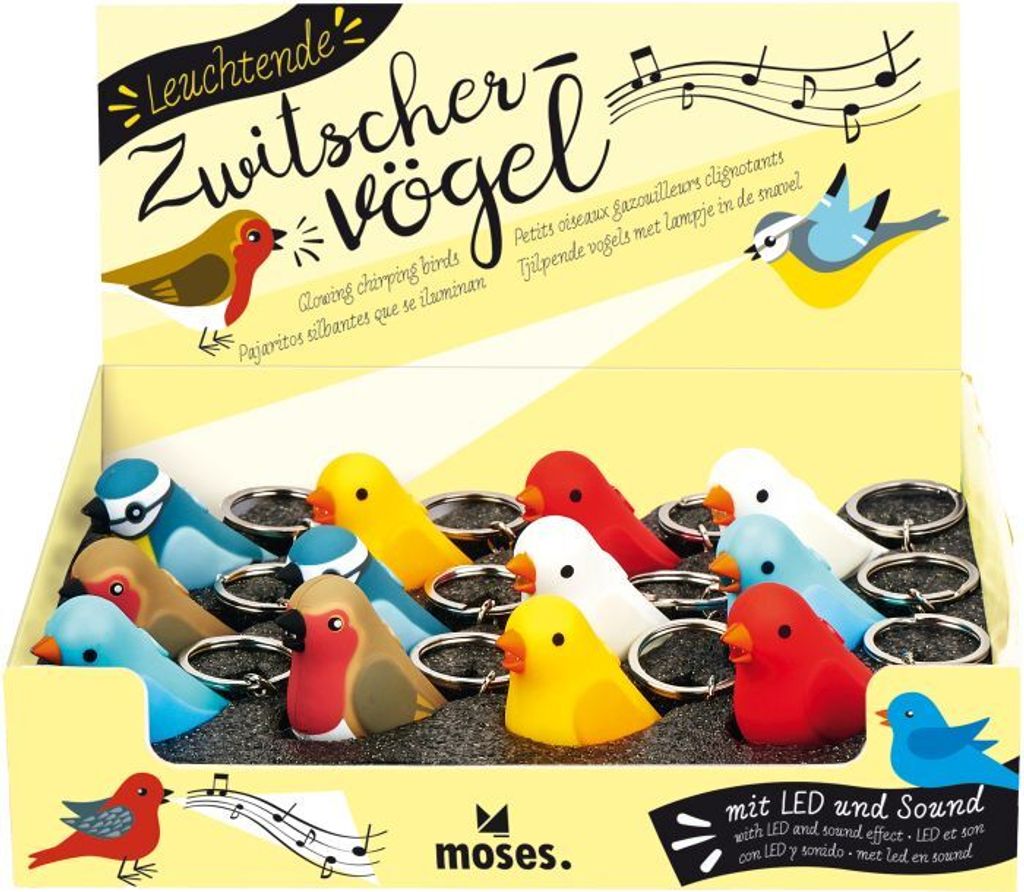 MOSES Leuchtende Zwitschervöge Produktbild 