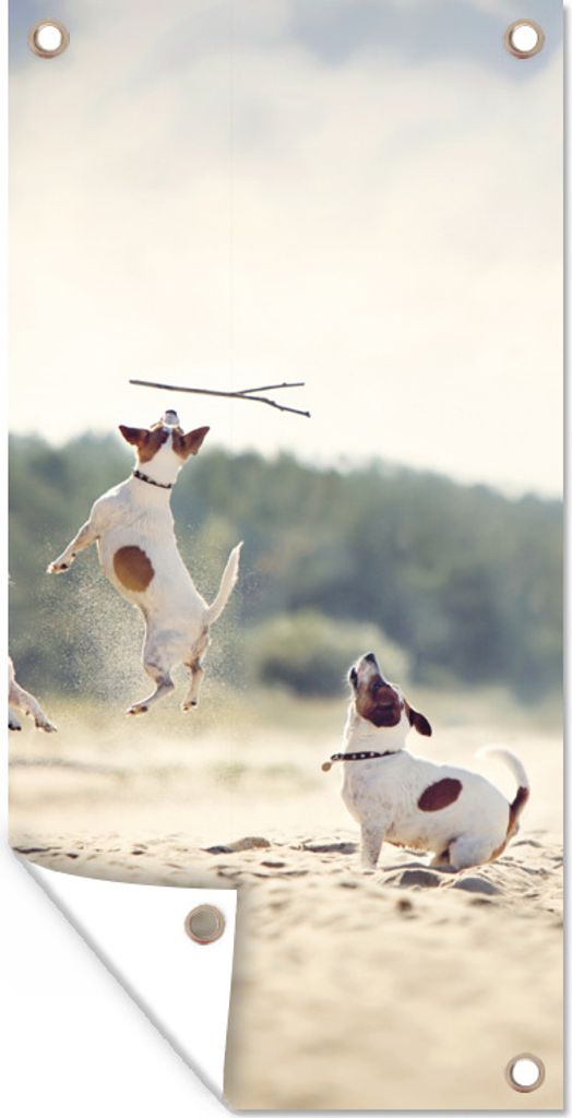 MuchoWow 30x60 cm Outdoor-Poster Gartendeko Sichtschutz Garten Poster für den Garten Hund - Zweig - Sand