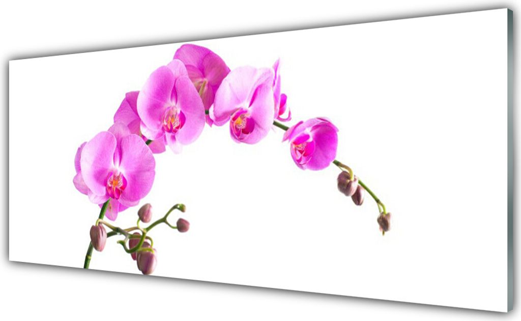 Küchenrückwand aus Glas 125x50cm Spritzschutz Blumen Pflanzen