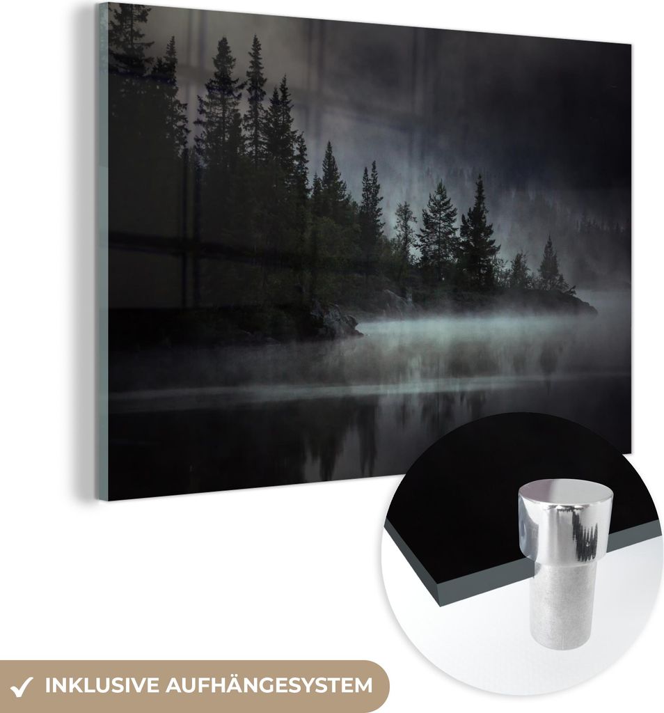 MuchoWow Glasbilder - Bilder auf Wandbild - Foto auf Glas Wald - Nebel - Schwarz - Weiß 60x40 cm Wanddekoration aus Glas - Acrylglasbild - Acrylbi...