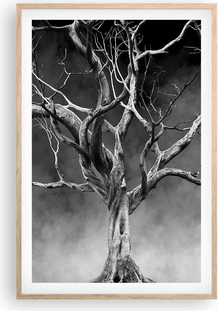 Gerahmtes Poster - Rahmen in heller Eiche - Schwarzweiß Äste Rauch - 61x91,5 cm - Wand Bild - Wanddeko - Wandbilder - Wandposter - Bilderrahmen -...