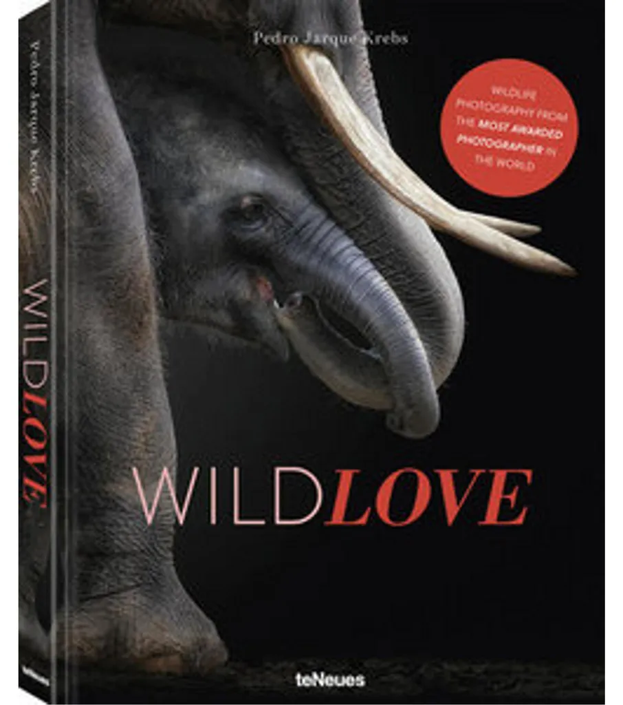 WildLOVE Parfum Idéal pour une Soirée Romantique ou un Rendez-vous