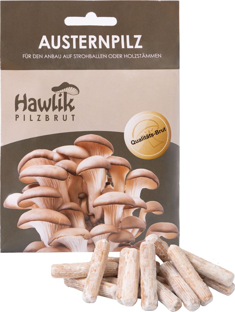 Kit de culture de champignons Pleurotes Cheville | Culture Image du produit 