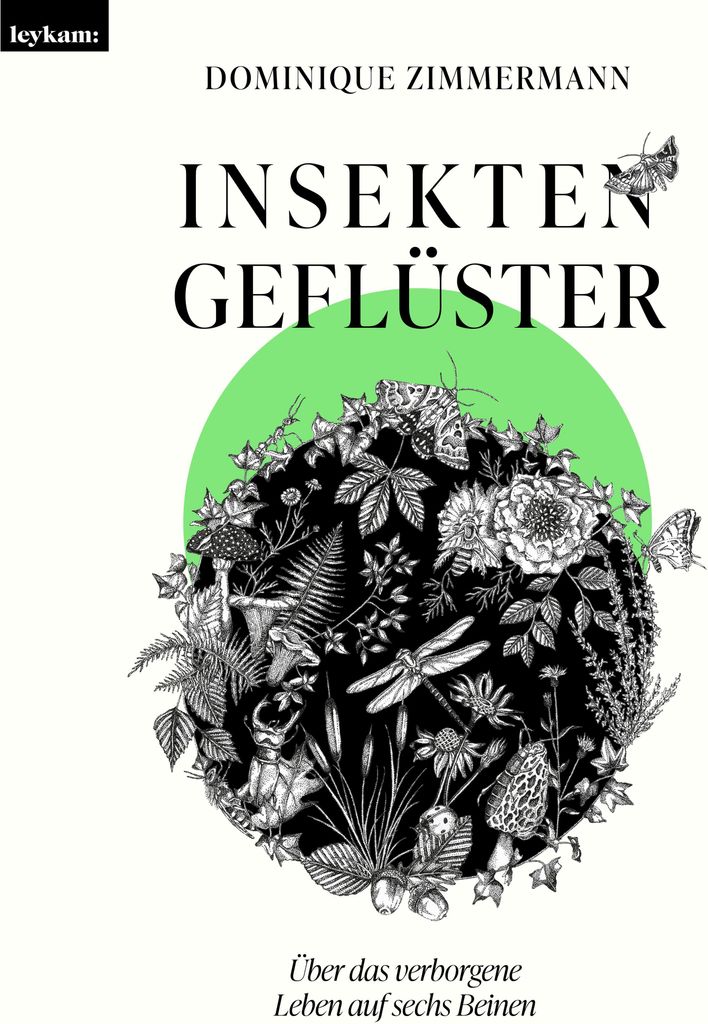 Insektengeflüster - Über das verborgene Leben auf sechs Beinen