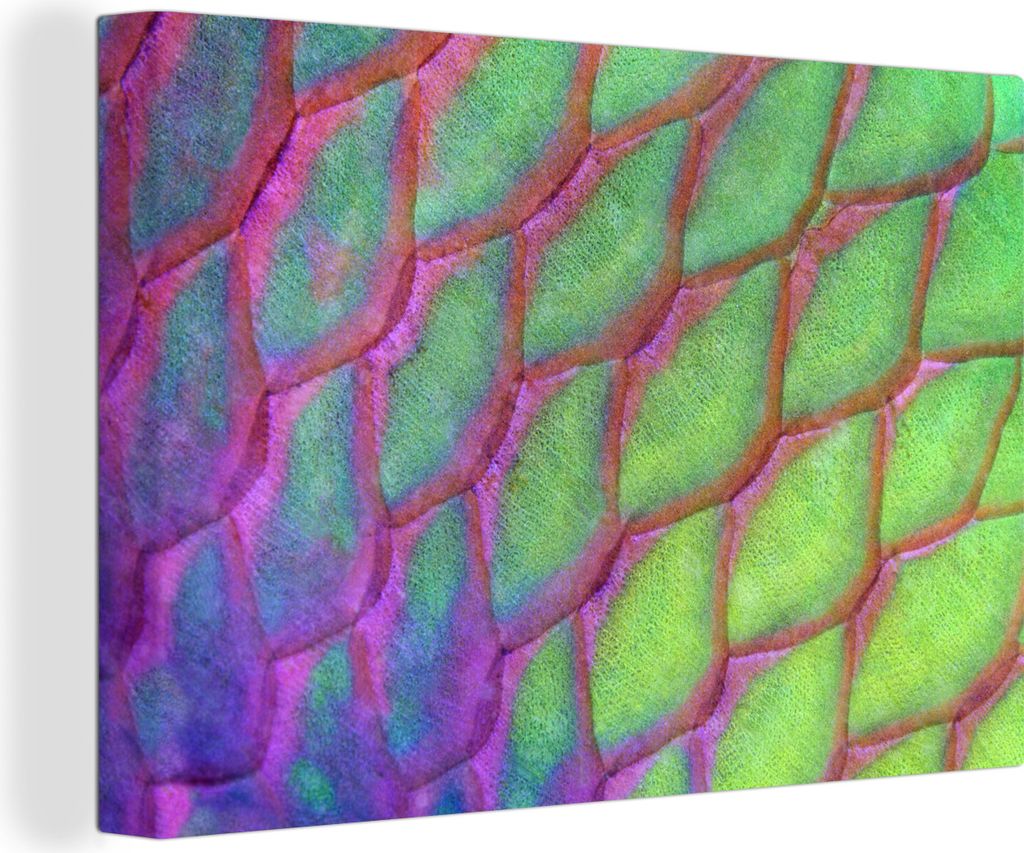 OneMillionCanvasses - Leinwandbilder - 140x90 cm, Fische - Schuppen - Bunt, Wandbilder Kunstdruck Wanddekoration