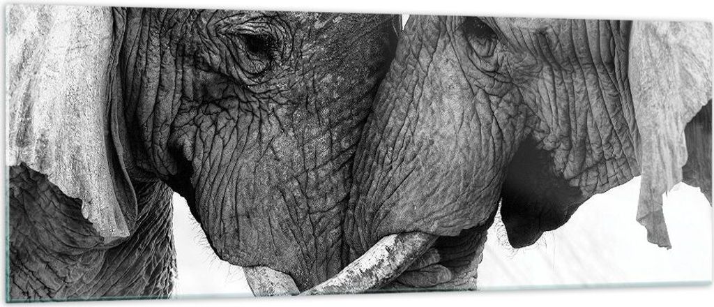 Bilder auf glas - Einteilig - Elefanten Safari Bond - 140x50cm - Glasbilder - Wandbilder - Bilder - zum Aufhängen bereit - Wanddekoration aus Glas...