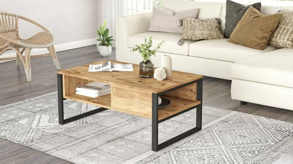 Table Basse Alfonsa 100x60x44 cm : Solution Salon Ordonné Chêne Marron - 4