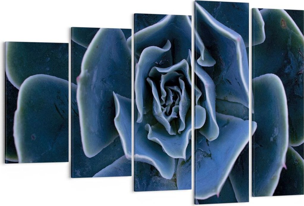 Bild auf Leinwand - Leinwandbild - 5 Teile - Blau Kaktus Produktbild 