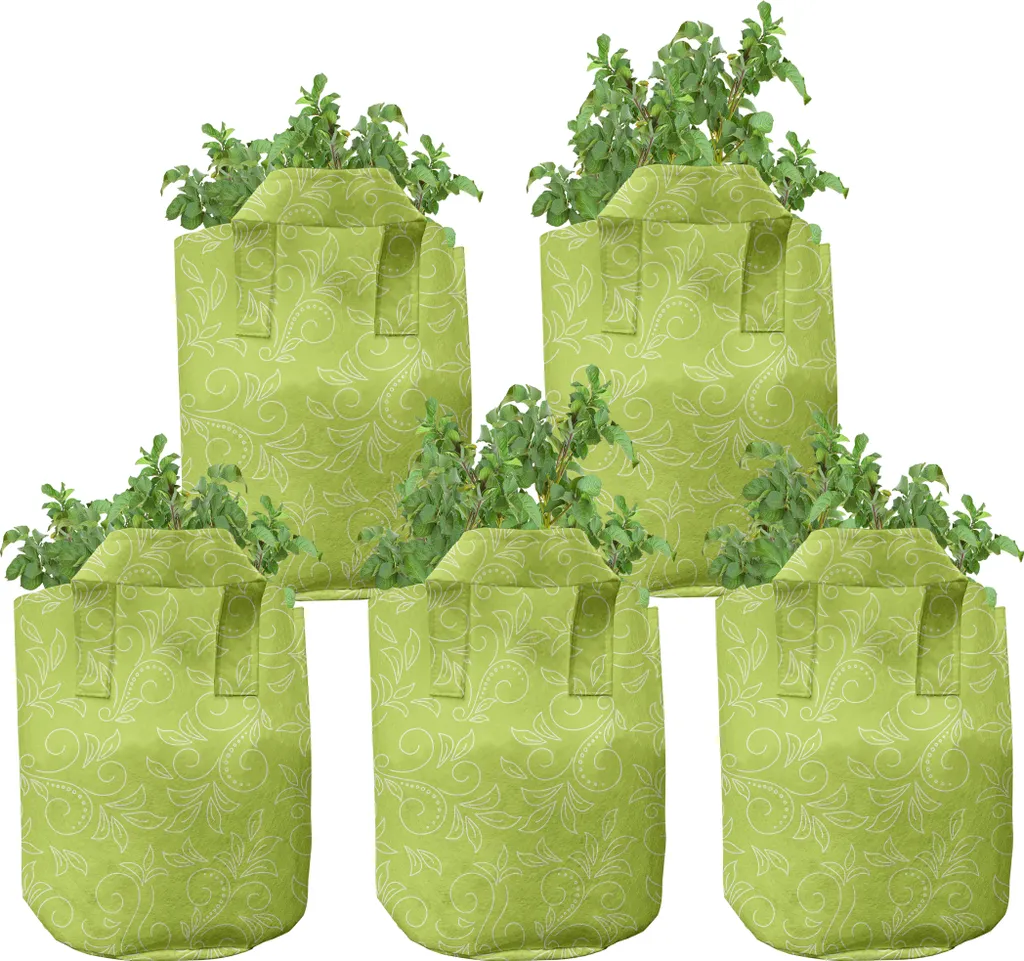 Évitez le Pourrissement des Racines avec ces Pots en Tissu 5 Gallons