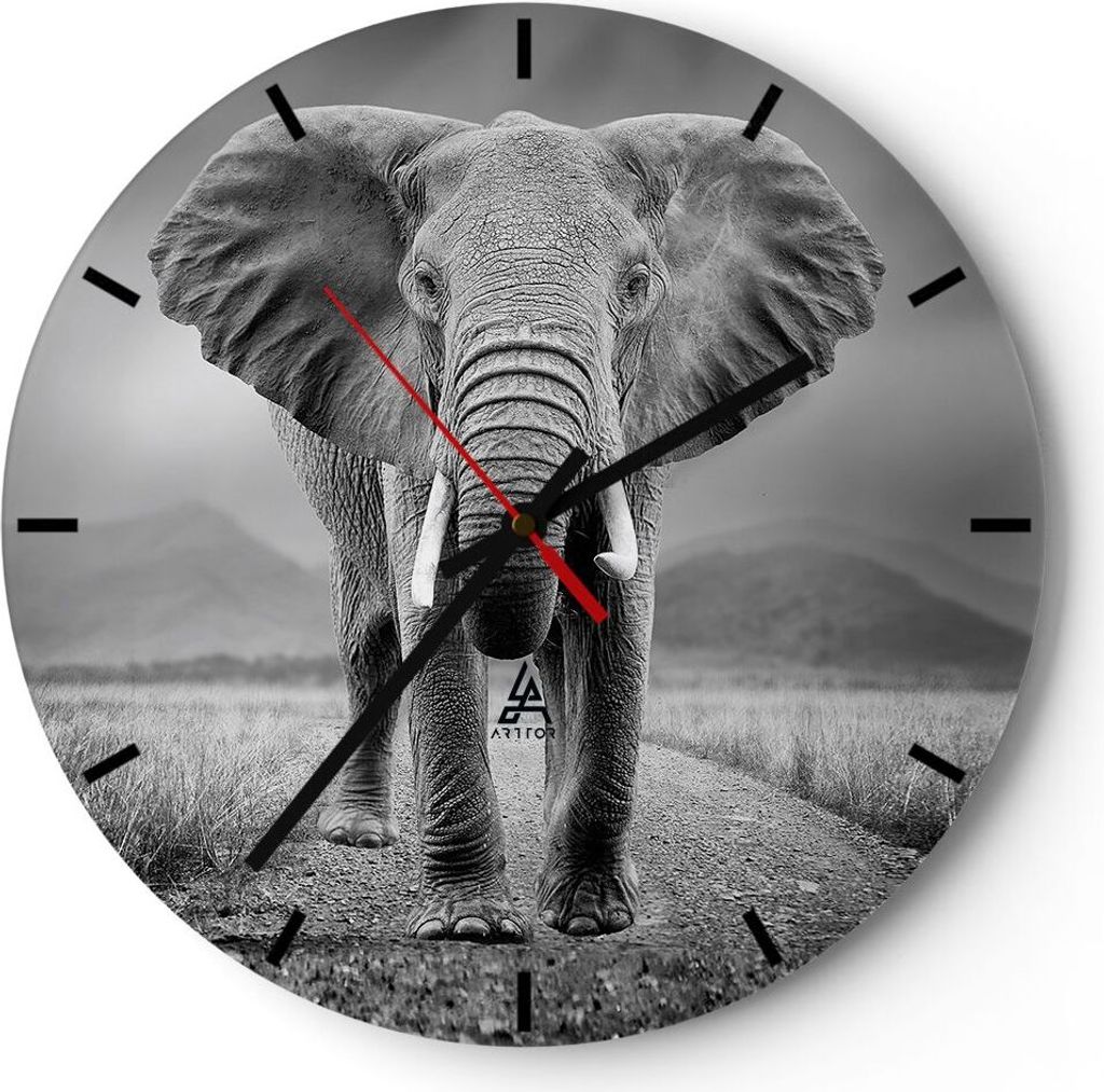Wanduhr - Rund - Glasuhr - Elefant Wildnis Natur - 40x40cm - Schleichendes Uhrwerk - Lautlos - zum Aufhängen bereit - Dekoration Modern - Wanddeko...