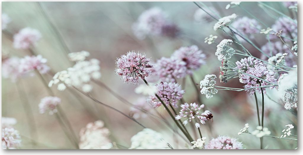 Tulup Leinwandbild - 120x60 cm - Wandkunst - Drucke auf Leinwand - Leinwanddruck - Blumen & Pflanzen - Weiß - Wilde Blumen