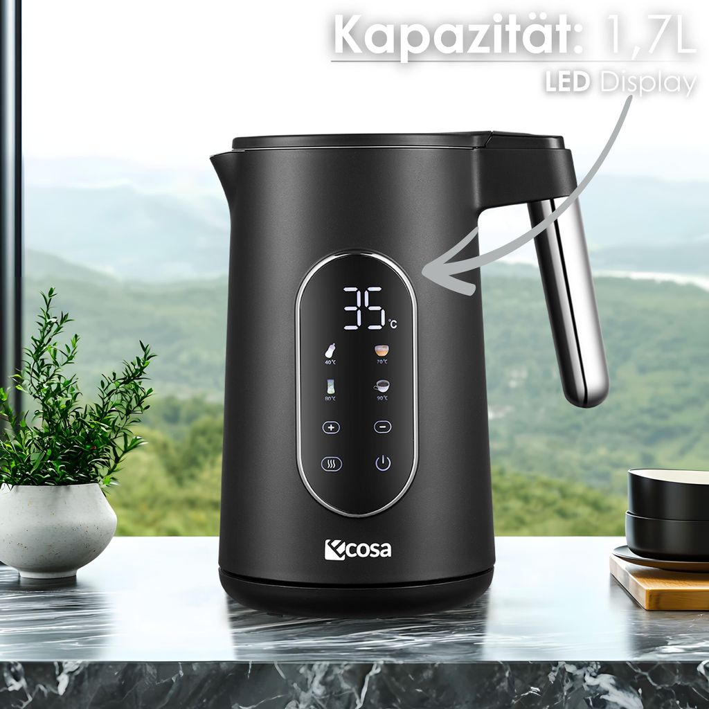 Ecosa Wasserkocher Edelstahl