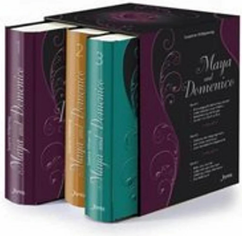 Saga Maya et Domenico coffret complet 3 volumes pour jeunes lecteurs