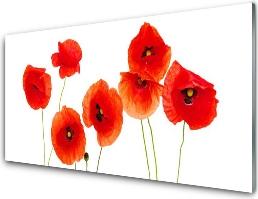 Küchenrückwand aus Glas 100x50cm Spritzschutz Mohnblumen Pflanzen