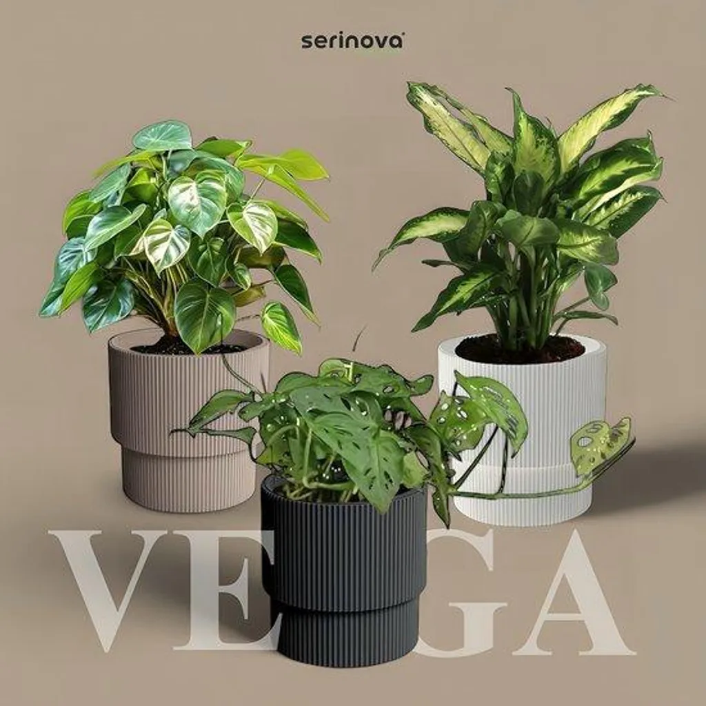 Pot de fleurs moderne 36 cm anthracite avec réserve d'eau intégrée