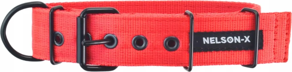 Collare Tecnico Nelson-X Nero Non Rimovibile - Per Cani S XS 4/5 CM