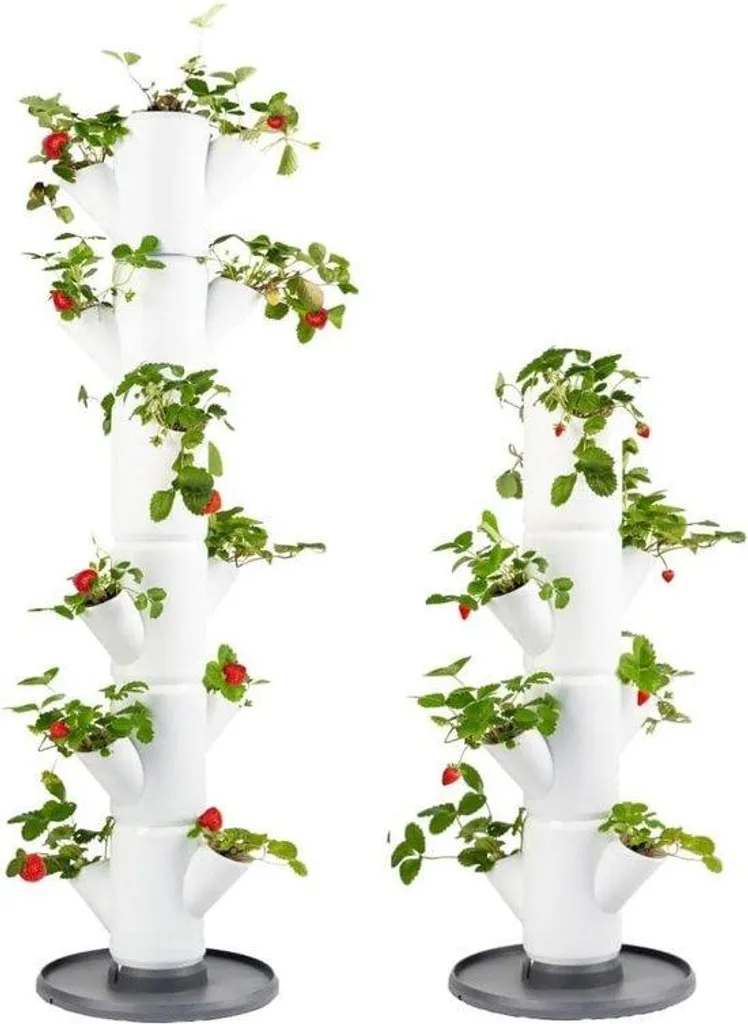 Bac pour fraises empilable avec système d'arrosage intégré terracotta