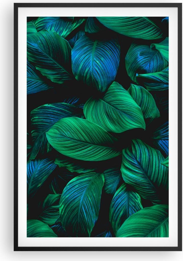 Gerahmtes Poster - Schwarzer Rahmen - Blätter Pflanzen Exotik - 61x91,5 cm - Wand Bild - Wanddeko - Wandbilder - Kunstposter - Wandposter - Bilder...