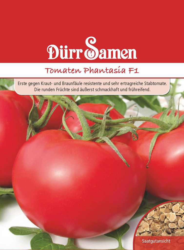 Stabtomate Phantasia F1 | Stabtomatensamen von Dürr Samen Produktbild 