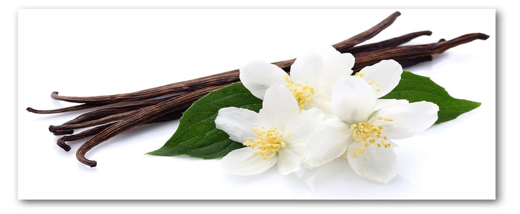Tulup Küchenrückwand Spritzschutz aus Glas -125x50 -Spritzschutz auf gehärtetes Glas Deko Blumen Pflanzen Jasmin Vanille