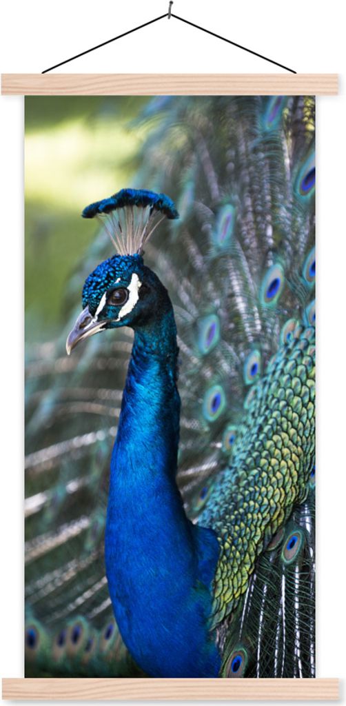 MuchoWow Textilposter Pfau - Vögel - Blau 40x80 cm mit holzfarbenen Rahmen - Wohnzimmer