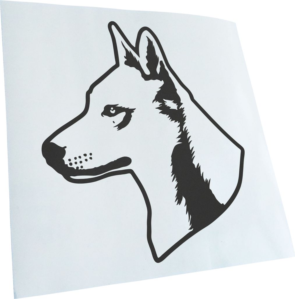 Kiwistar - Autoaufkleber - Canaan Dog Hund - Dunkelgrau - 50x42cm - Aufkleber für Auto, Laptop, Fahrrad, LKW, Motorrad mehrfarbig JDM Decal Racing