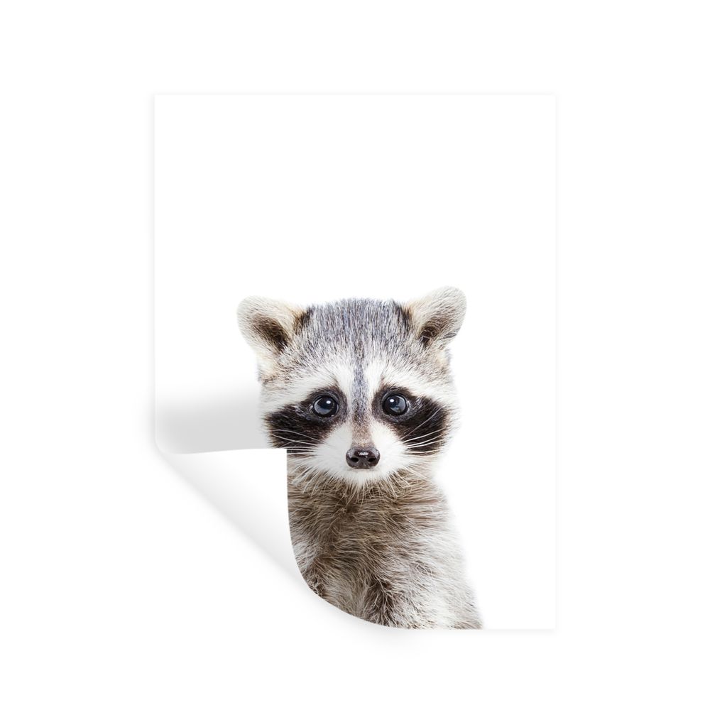 MuchoWow Wandtattoo Wandsticker Wandaufkleber Waschbär - Tiere - Natur - Weiß 60x80 cm Selbstklebend und Repositionierbar - Repositionierbar - ...