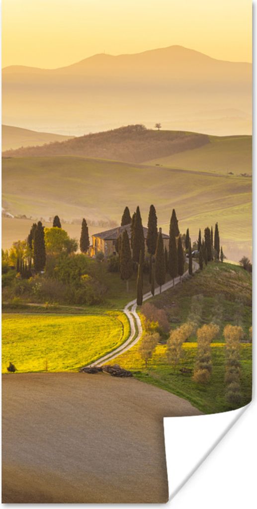 MuchoWow Poster Italien - Weinberg - Olivengarten 80x160 cm - Kinderzimmer