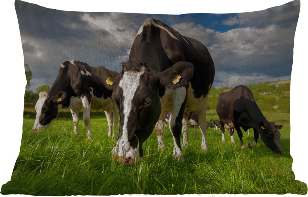 MuchoWow Outdoor Kissen - Kühe - Tiere - Gras - Wiese - Bauernhof - 60x40 cm - Wetterfest - Lounge Kissen - Zierkissen - Kissen für Innenräume