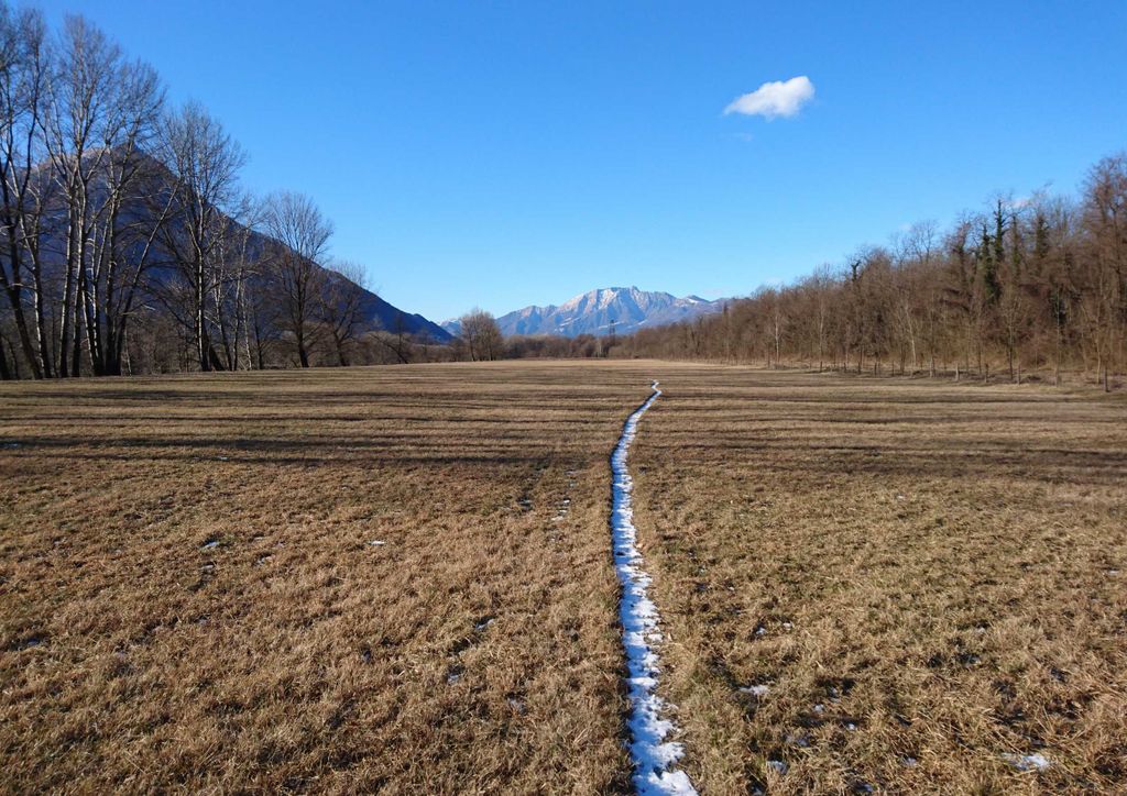 hansepuzzle 37486 - Winter Puzzle, 260 Teile, Natur, 41,0 x 28,0cm mit hochwertiger Aufbewahrung, Kartonbox und wiederverschließbarem Beutel