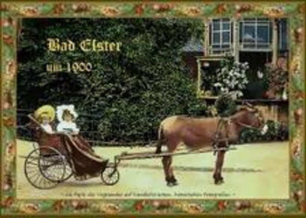 Bad Elster