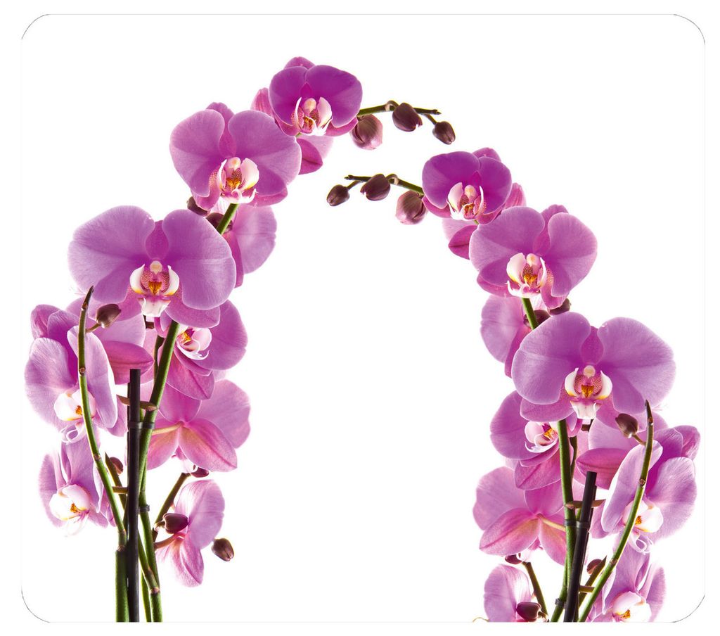 WENKO Herd Abdeckplatte Herd Abdeckung Schneide Brett Glas ORCHIDEEN