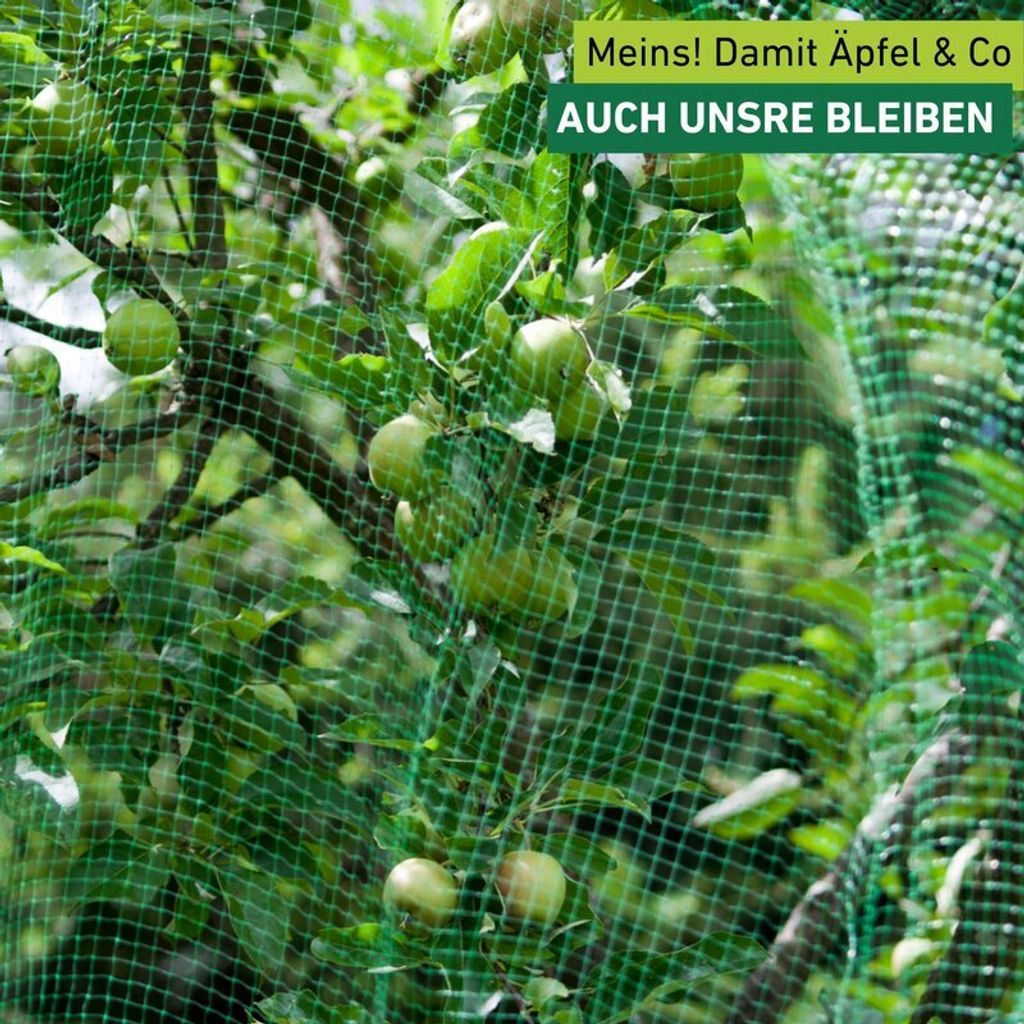 Vogelschutznetz schwarz 10x2m