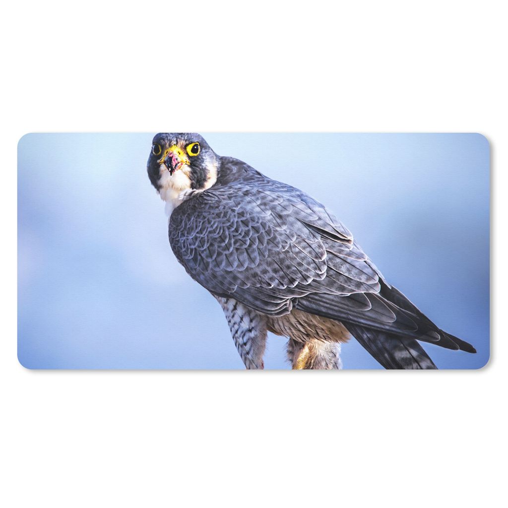 MuchoWow Schreibtischunterlage Nahaufnahme eines Raubvogels auf einer dicken Holzstange 80x40 cm - XXL Mauspad - Gaming Mauspad